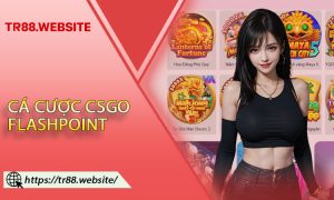 Cá Cược CSGO Flashpoint