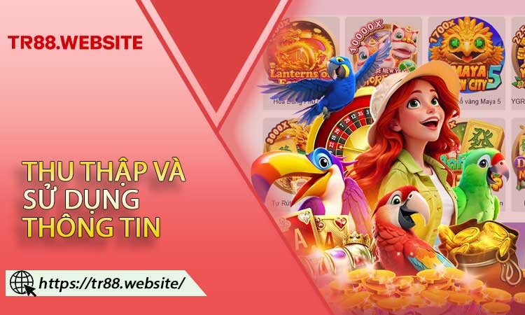 Thu thập và sử dụng thông tin