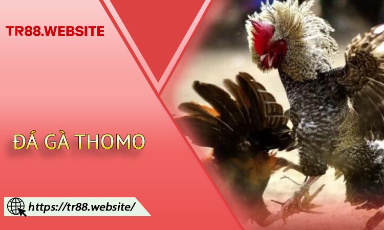 Đá gà thomo